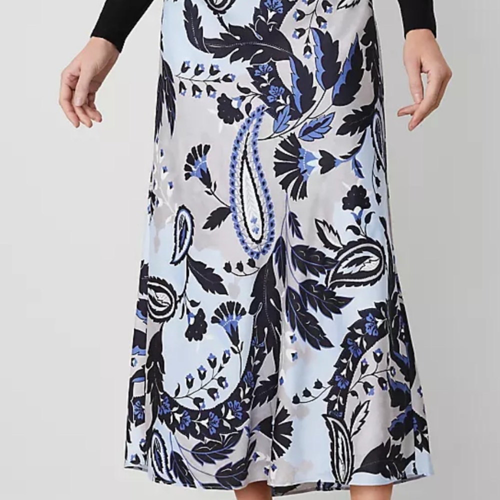 Ann Taylor skirt